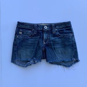 Big Star Denim Shorts Size 27